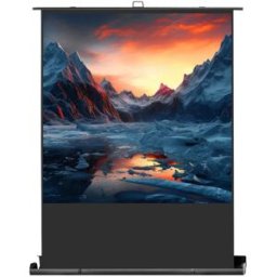 celexon Écran de Projection Ultramobil Professional Plus 120 x 120 cm - 67" - Écrans