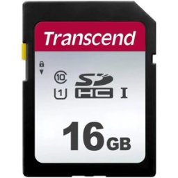Transcend Carte Mémoire 300s Sd Class 10 16gb Black One Size unisex