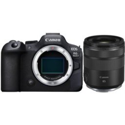 Canon EOS R6 II + RF 85mm f2 Macro IS STM Dealpreis