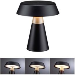 Paulmann Lirox 77060 Lampe de table LED 1.5 W noir, champagne