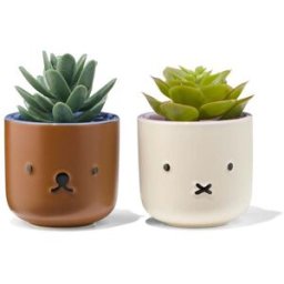 HEMA Pots De Fleurs Miffy - 2 Pièces