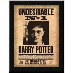 Noble Collection Indésirable Nº1 Harry Potter 30x21 Cm Multicolor One Size unisex