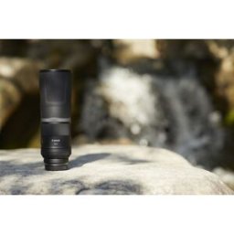 Canon EOS R1 + RF 800mm f11 IS STM
