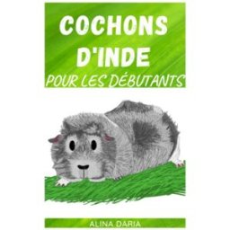 Cochons d'Inde pour les débutants: Soins appropriés pour les cobayes Daria, Alina Independently published