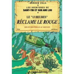 LE LEOPARD DEMASQUE Les aventures de Saint-Tin et son ami Lou tome 10 (roman)