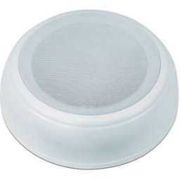 Enceinte ELA de plafond Omnitronic DAL-2 20 W blanc
