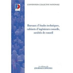 Bureaux d'études techniques, cabinets d'ingénieurs-conseils, sociétés de conseils France. Ministère de l'emploi et de la solidarité Les éditions des Journaux officiels