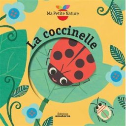 La coccinelle Magali Attiogbé Amaterra