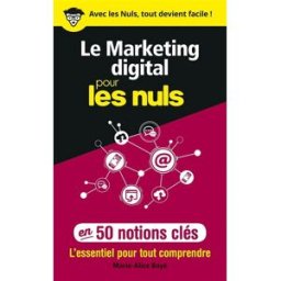 Le marketing digital pour les nuls en 50 notions clés : l'essentiel pour tout comprendre Marie-Alice Boyé First Editions