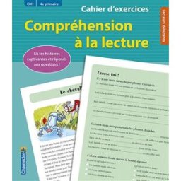 Compréhension à la lecture, CM1, 4e primaire, lecteurs débutants : cahier d'exercices : lis les peti nina flores Chantecler