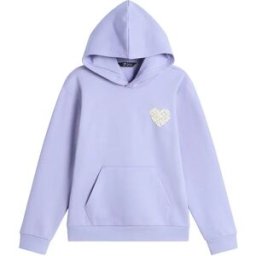 The North Face Sweat à Capuche Brand Proud Relaxed Graphic Pale Plum XL Fille