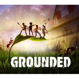 Kinguin Grounded XBOX One / Xbox Series X S / Windows 10 Account