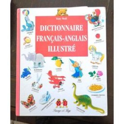 dictionnaire français - anglais illustre wolf tony flammarion 4 image page