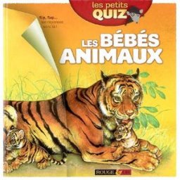 Les bébés animaux Hannah Wilson, Nicki Palin Rouge et or