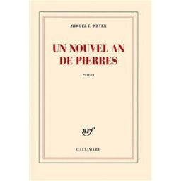 Un nouvel an de pierres Shmuel T. Meyer Gallimard