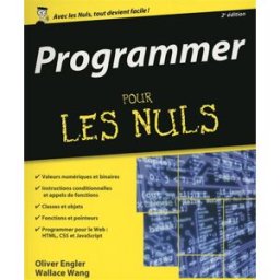 Programmer pour les nuls Olivier Engler, Wallace Wang First interactive