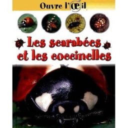 Les scarabées et les coccinelles Sally Morgan Gamma Jeunesse