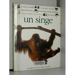 Qui suis-je ? Un singe Scott Steedman Gallimard-Jeunesse