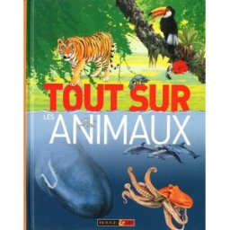 Tout sur les animaux collectif Rouge et or
