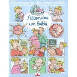 Attendre un bébé Nathalie Bélineau, Emilie Beaumont, Sylvie Michelet Fleurus