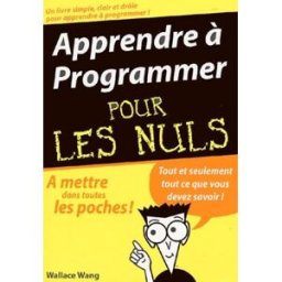 Apprendre à programmer pour les nuls Wallace Wang First interactive