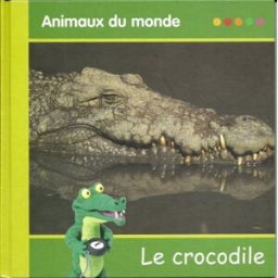 animaux du monde : le crocodile