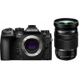 OM System OM-1 Mark II + Olympus M.Zuiko Digital ED 12-100mm f4 IS PRO