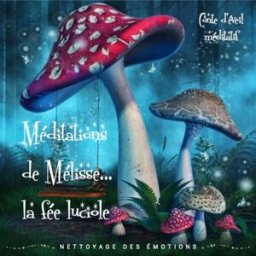 Méditations de Mélisse, la fée luciole: Tome 1, Nettoyage des émotions besnier, marie Editions Atlantis