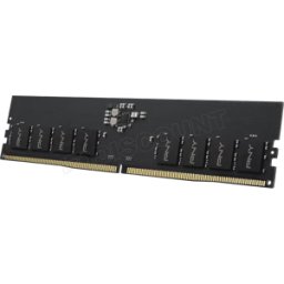 Barrette mémoire 16Go DIMM DDR5 PNY Performance 5600MHz (Noir)
