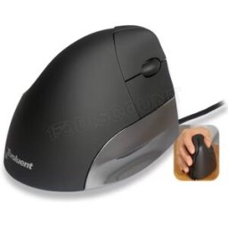Souris filaire Evoluent Verticale standard pour droitier