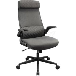Cougar Gaming Fauteuil Cougar Stryder (Gris)