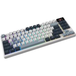 Clavier Gamer sans fil Bluetooth mécanique MSI Forge GK600 TKL RGB (Blanc/Noir)