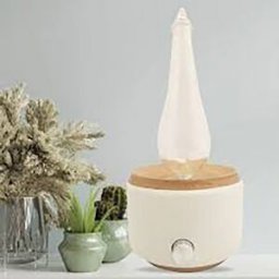 Cosmediet - Diffuseur natureal OS