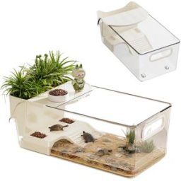 INF Bassin amphibie pour tortues avec plateforme de bain de soleil intégrée - Grande capacité, sans odeur, aquarium PET+PP L