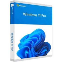 Microsoft Windows 11 Pro – Licence perpétuelle