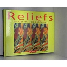 Reliefs : images en trois dimensions Olivier Godon, Hubert Mortagne Dunod