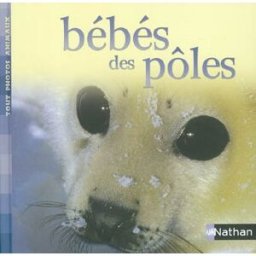 Bébés des pôles tout photos animaux Nathan Jeunesse