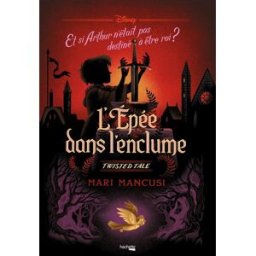 L'épée dans l'enclume : et si Arthur n'était pas destiné à être roi ? Mari Mancusi Hachette Heroes