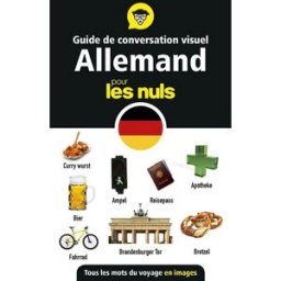 Guide de conversation visuel allemand pour les nuls : tous les mots du voyage en images collectif First Editions