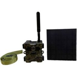 Caméra de chasse Technaxx TX-189 Transfert dimages 4G, LED sans lueur, enregistrement sonore vert-marron, vert-noir (fluorescent)