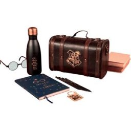 La Grande Récré Coffret Cadeau Harry Potter Trouble Finds Me