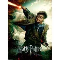 Ravensburger, le leader européen du puzzle Puzzle Pièces XXL - Harry Potter - 100 à 149 pièces
