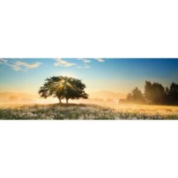 Heye, des puzzles aux images uniques Puzzle Play of Light - 1000 pièces