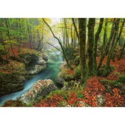 Heye, des puzzles aux images uniques Puzzle Magic Forests - Little Brook - 1000 pièces