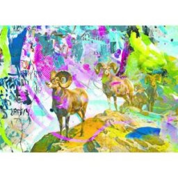 Heye, des puzzles aux images uniques Puzzle Big Horns - 1000 pièces