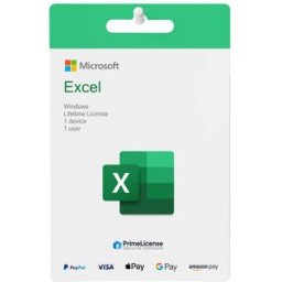 Microsoft Excel (Windows)