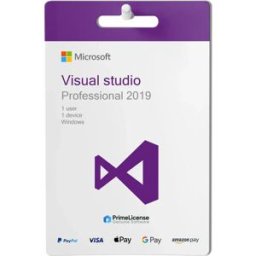Microsoft Visual Studio Professional 2019