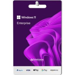 Microsoft Windows 11 Enterprise