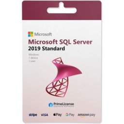 Microsoft Windows SQL Server 2019 Standard