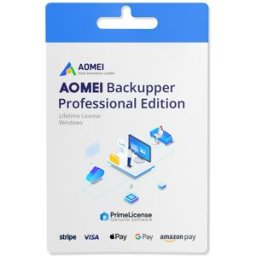 AOMEI Backupper Professionnel
